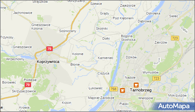 mapa Kamieniec gmina Koprzywnica, Kamieniec gmina Koprzywnica na mapie Targeo