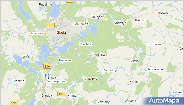 mapa Antoniewo gmina Skoki, Antoniewo gmina Skoki na mapie Targeo