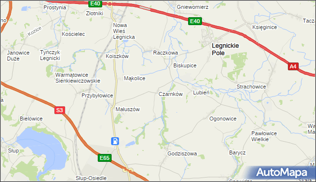 mapa Czarnków gmina Legnickie Pole, Czarnków gmina Legnickie Pole na mapie Targeo