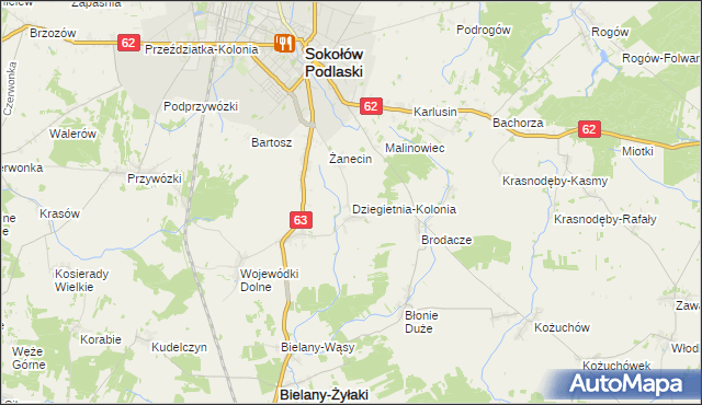 mapa Dziegietnia-Kolonia, Dziegietnia-Kolonia na mapie Targeo