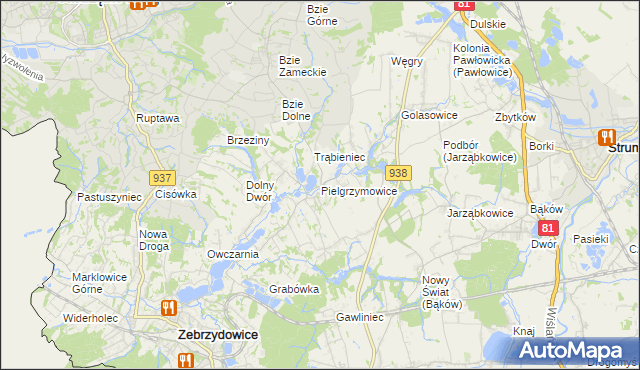 mapa Pielgrzymowice gmina Pawłowice, Pielgrzymowice gmina Pawłowice na mapie Targeo