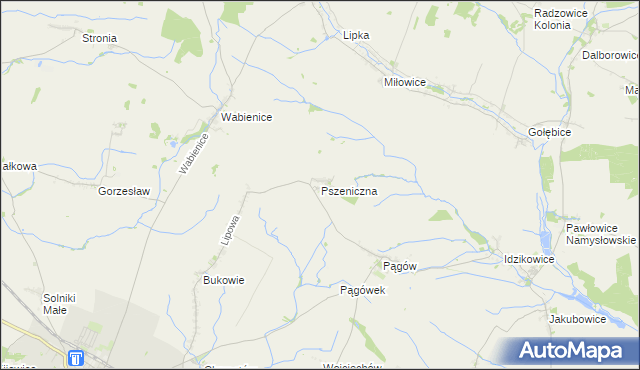 mapa Pszeniczna, Pszeniczna na mapie Targeo