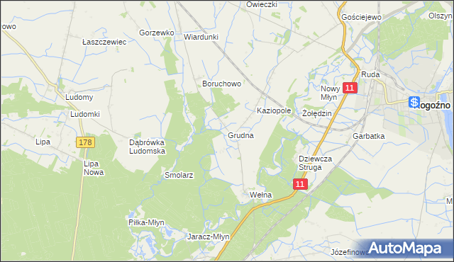 mapa Grudna gmina Rogoźno, Grudna gmina Rogoźno na mapie Targeo