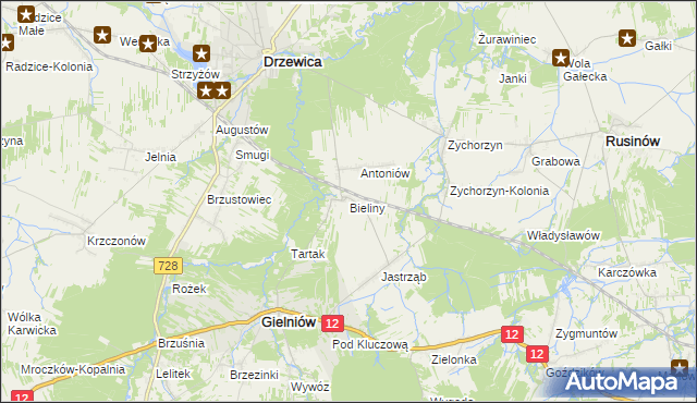 mapa Bieliny gmina Gielniów, Bieliny gmina Gielniów na mapie Targeo