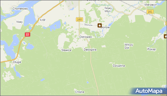 mapa Dębogóra gmina Dobiegniew, Dębogóra gmina Dobiegniew na mapie Targeo