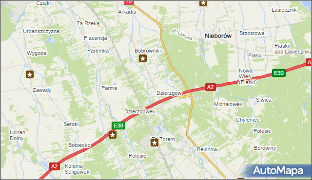 mapa Dzierzgów gmina Nieborów, Dzierzgów gmina Nieborów na mapie Targeo