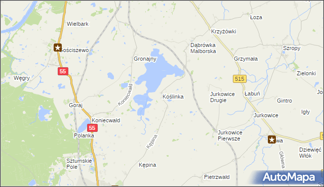 mapa Koślinka gmina Sztum, Koślinka gmina Sztum na mapie Targeo
