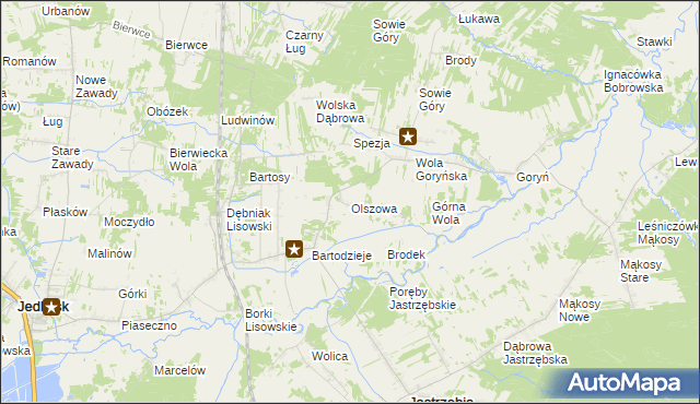 mapa Olszowa gmina Jastrzębia, Olszowa gmina Jastrzębia na mapie Targeo