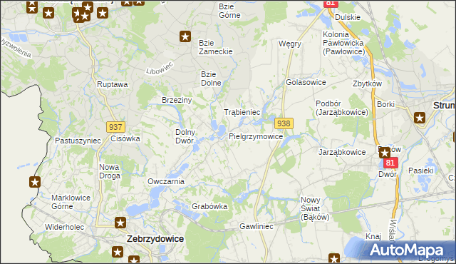 mapa Pielgrzymowice gmina Pawłowice, Pielgrzymowice gmina Pawłowice na mapie Targeo