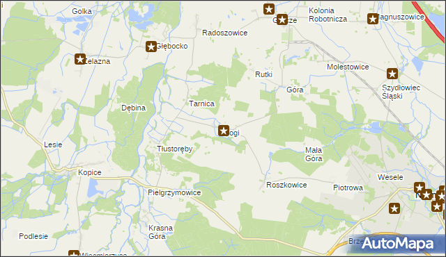 mapa Rogi gmina Niemodlin, Rogi gmina Niemodlin na mapie Targeo