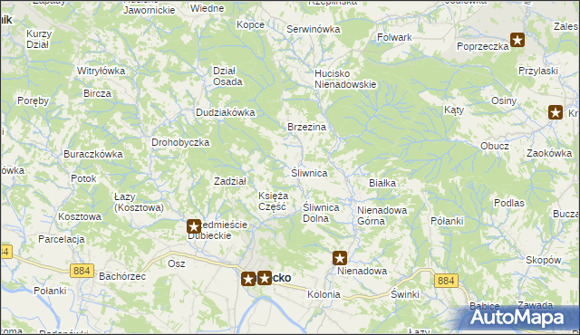 mapa Śliwnica gmina Dubiecko, Śliwnica gmina Dubiecko na mapie Targeo