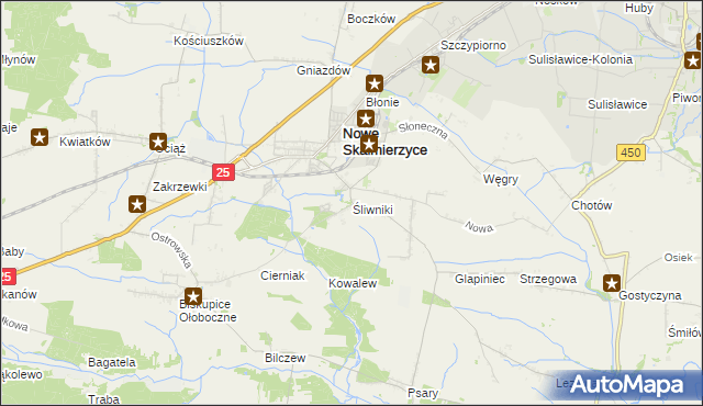mapa Śliwniki gmina Nowe Skalmierzyce, Śliwniki gmina Nowe Skalmierzyce na mapie Targeo