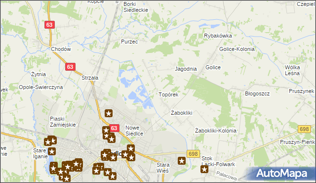 mapa Topórek, Topórek na mapie Targeo