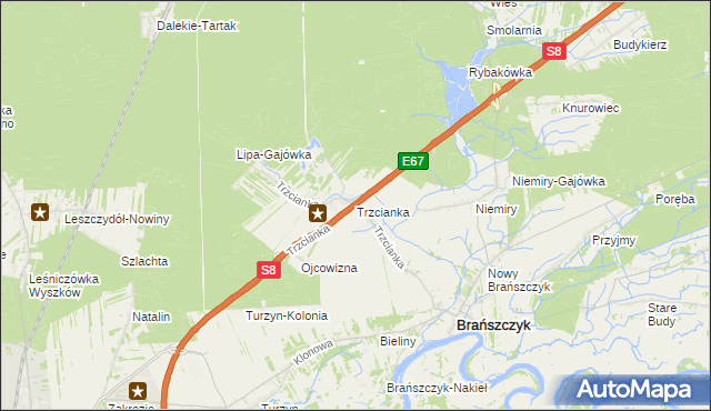 mapa Trzcianka gmina Brańszczyk, Trzcianka gmina Brańszczyk na mapie Targeo