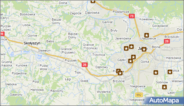 mapa Trzcinica gmina Jasło, Trzcinica gmina Jasło na mapie Targeo
