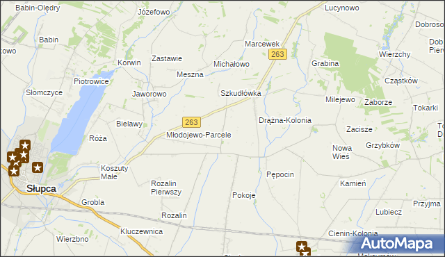 mapa Żelazków gmina Słupca, Żelazków gmina Słupca na mapie Targeo