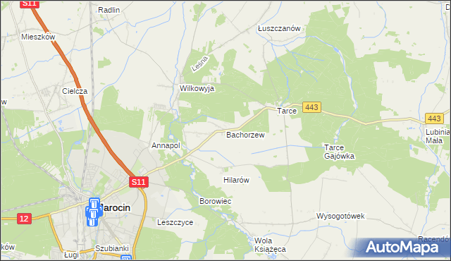 mapa Bachorzew, Bachorzew na mapie Targeo