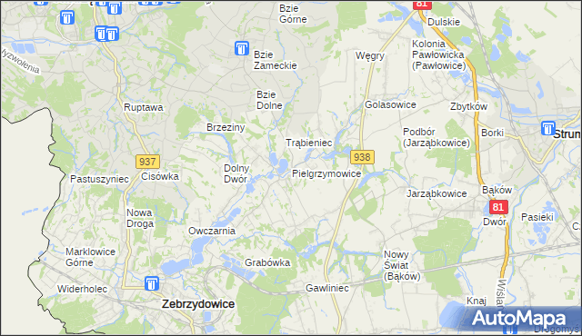 mapa Pielgrzymowice gmina Pawłowice, Pielgrzymowice gmina Pawłowice na mapie Targeo