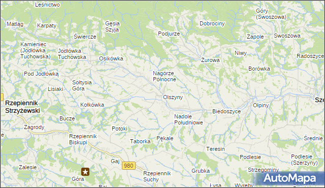 mapa Olszyny gmina Rzepiennik Strzyżewski, Olszyny gmina Rzepiennik Strzyżewski na mapie Targeo