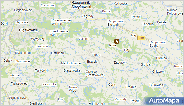 mapa Turza gmina Rzepiennik Strzyżewski, Turza gmina Rzepiennik Strzyżewski na mapie Targeo