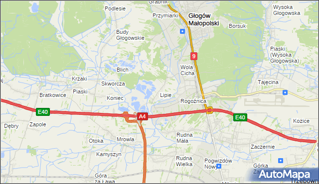 mapa Lipie gmina Głogów Małopolski, Lipie gmina Głogów Małopolski na mapie Targeo