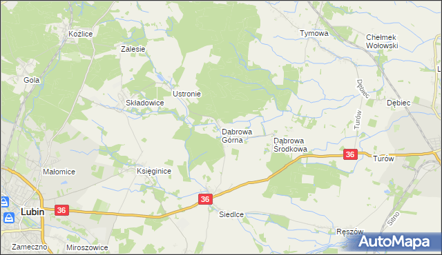 mapa Dąbrowa Górna gmina Lubin, Dąbrowa Górna gmina Lubin na mapie Targeo