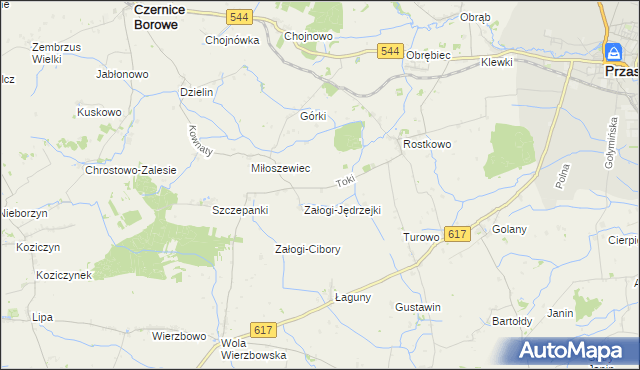 mapa Toki gmina Czernice Borowe, Toki gmina Czernice Borowe na mapie Targeo