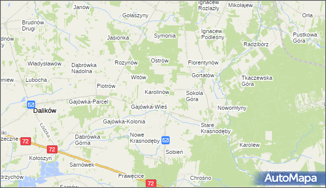 mapa Anastazew gmina Parzęczew, Anastazew gmina Parzęczew na mapie Targeo