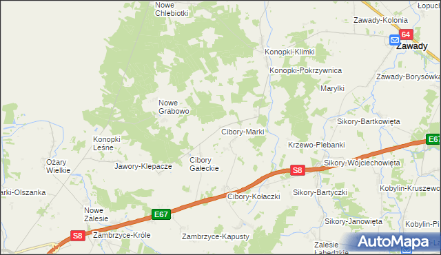 mapa Cibory-Marki, Cibory-Marki na mapie Targeo