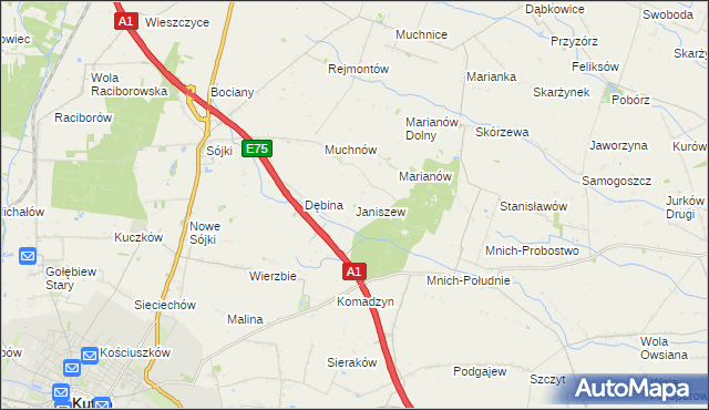 mapa Janiszew gmina Strzelce, Janiszew gmina Strzelce na mapie Targeo