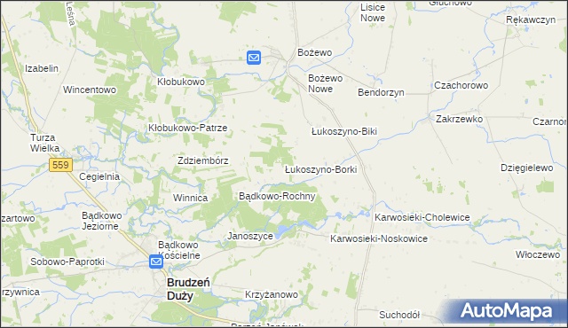 mapa Łukoszyno-Borki, Łukoszyno-Borki na mapie Targeo