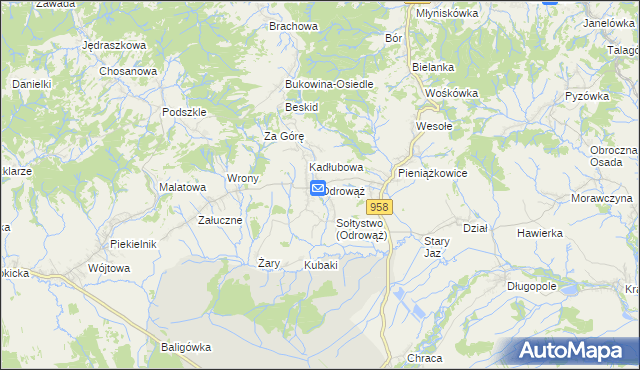 mapa Odrowąż gmina Czarny Dunajec, Odrowąż gmina Czarny Dunajec na mapie Targeo