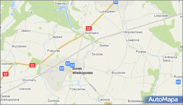 mapa Skoków gmina Borek Wielkopolski, Skoków gmina Borek Wielkopolski na mapie Targeo