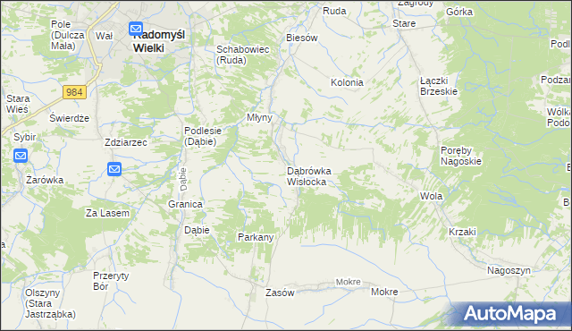 mapa Dąbrówka Wisłocka, Dąbrówka Wisłocka na mapie Targeo