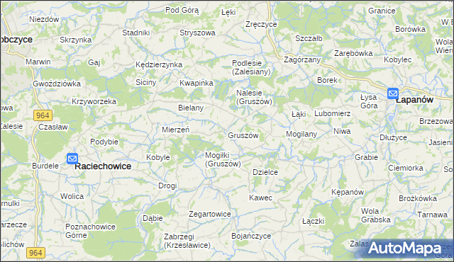 mapa Gruszów gmina Raciechowice, Gruszów gmina Raciechowice na mapie Targeo