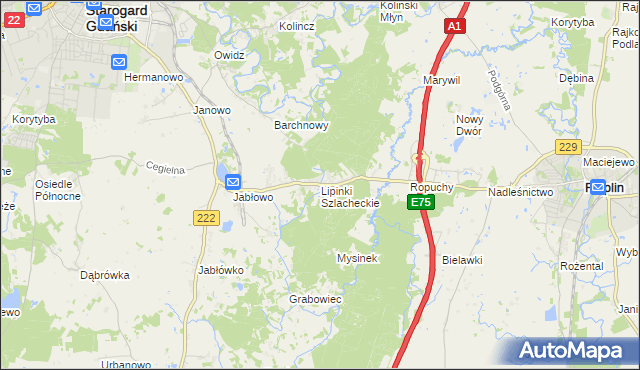 mapa Lipinki Szlacheckie, Lipinki Szlacheckie na mapie Targeo