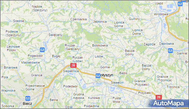 mapa Lisów gmina Skołyszyn, Lisów gmina Skołyszyn na mapie Targeo