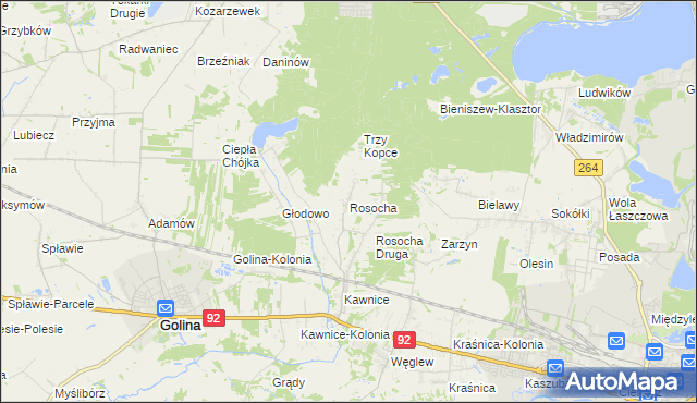 mapa Rosocha gmina Golina, Rosocha gmina Golina na mapie Targeo