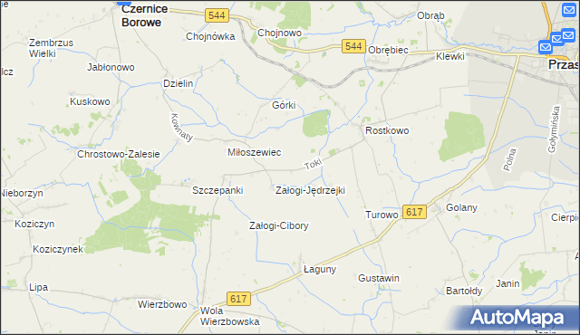 mapa Toki gmina Czernice Borowe, Toki gmina Czernice Borowe na mapie Targeo