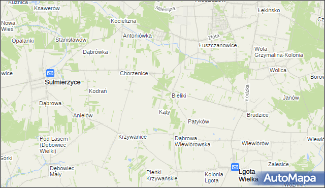 mapa Trzciniec gmina Sulmierzyce, Trzciniec gmina Sulmierzyce na mapie Targeo