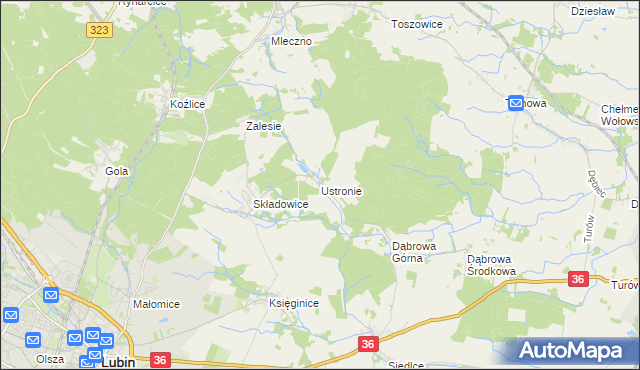 mapa Ustronie gmina Lubin, Ustronie gmina Lubin na mapie Targeo