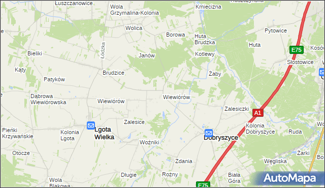mapa Wiewiórów gmina Dobryszyce, Wiewiórów gmina Dobryszyce na mapie Targeo