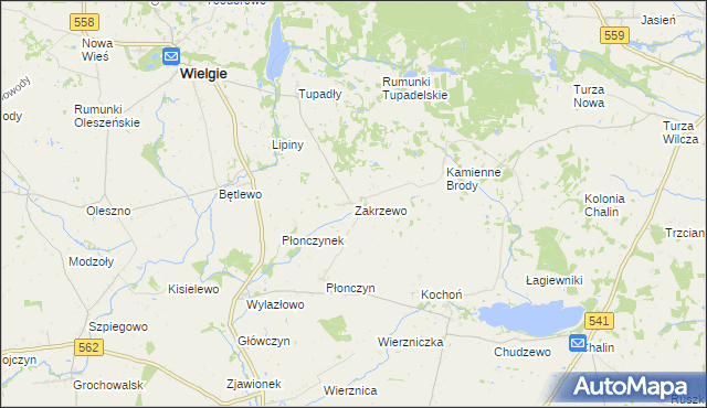 mapa Zakrzewo gmina Wielgie, Zakrzewo gmina Wielgie na mapie Targeo