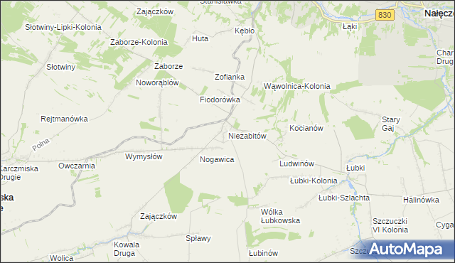 mapa Niezabitów, Niezabitów na mapie Targeo