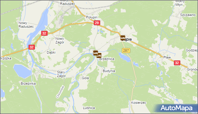 mapa Brzeźnica gmina Dąbie, Brzeźnica gmina Dąbie na mapie Targeo