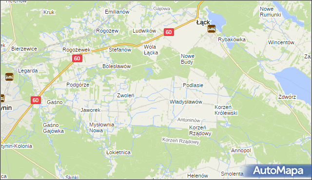 mapa Kościuszków gmina Łąck, Kościuszków gmina Łąck na mapie Targeo