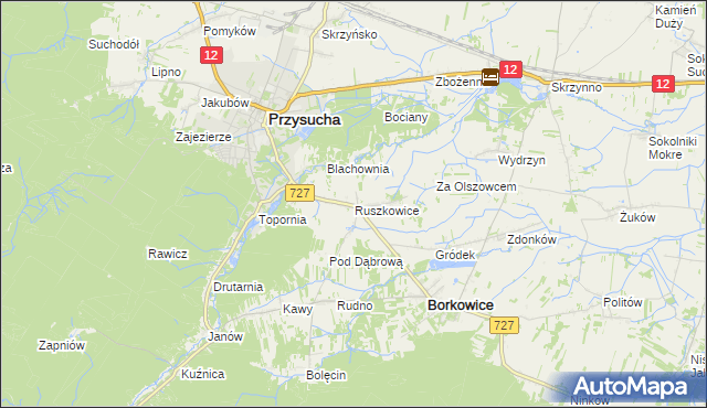 mapa Ruszkowice gmina Borkowice, Ruszkowice gmina Borkowice na mapie Targeo