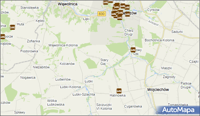mapa Stary Gaj gmina Wojciechów, Stary Gaj gmina Wojciechów na mapie Targeo