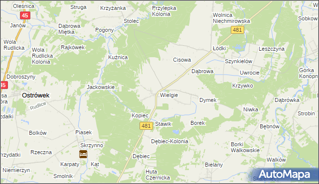 mapa Wielgie gmina Ostrówek, Wielgie gmina Ostrówek na mapie Targeo