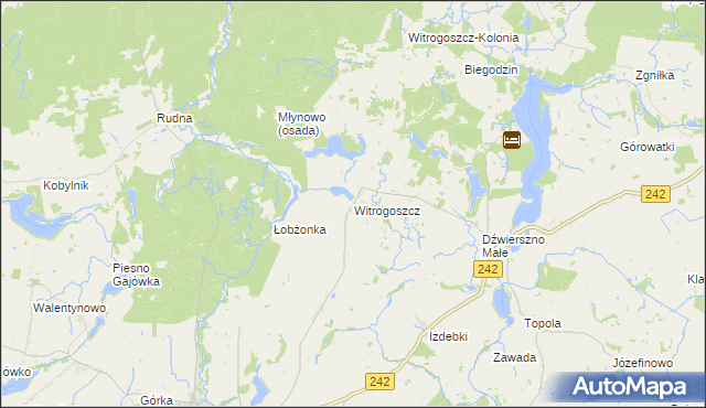 mapa Witrogoszcz, Witrogoszcz na mapie Targeo